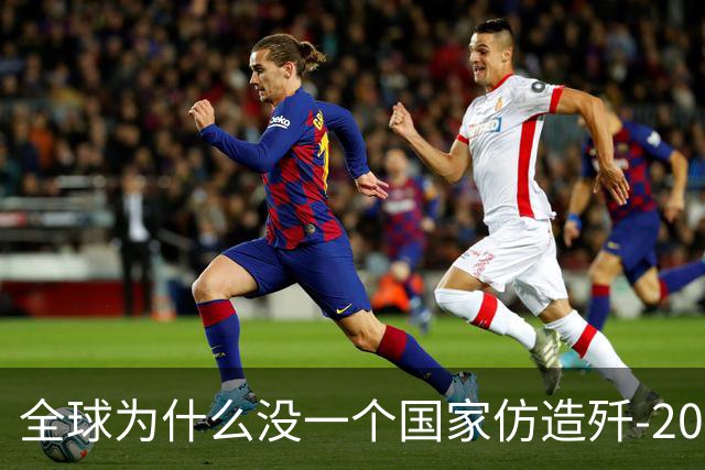 全球为什么没一个国家仿造歼-20，瑞典已破译！