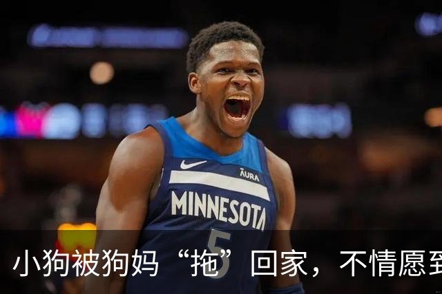 小狗被狗妈“拖”回家，不情愿到连爪子都在控诉：我还要玩！