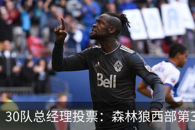 30队总经理投票：森林狼西部第3，却又被选为最难预测